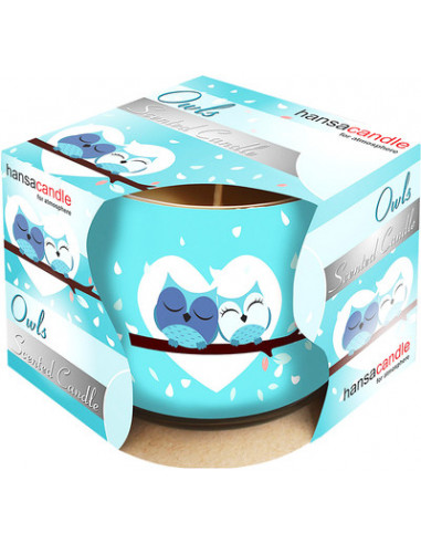 KAST 6tk! Hansa Candle lõhnaklaasküünal Owl 20h