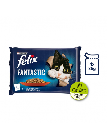 FELIX Fantastic kiisueine kana/loom...