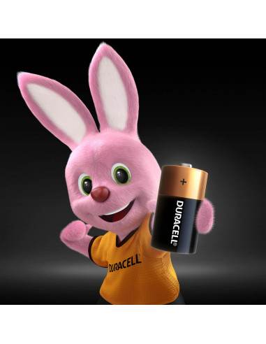 KAST 10 tk! Duracell patarei C/MN1400 2 tk