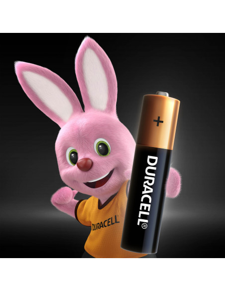 Duracell patarei AAA/MN2400 4tk.