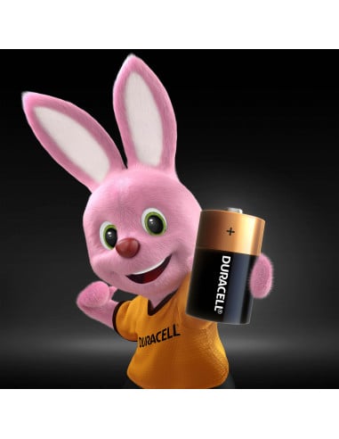 Duracell patarei D/MN1300 2 tk