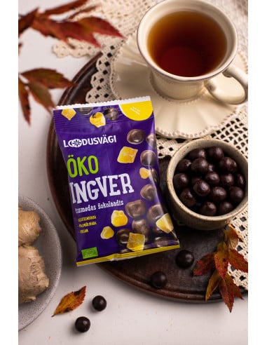 Loodusvägi ÖKO näks ingver tumedas šokolaadis...