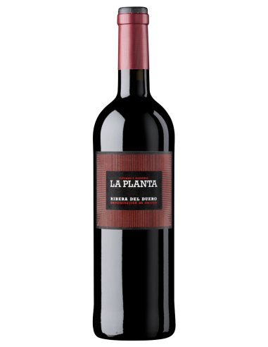 Arzuaga La Planta 75cl 14,5%