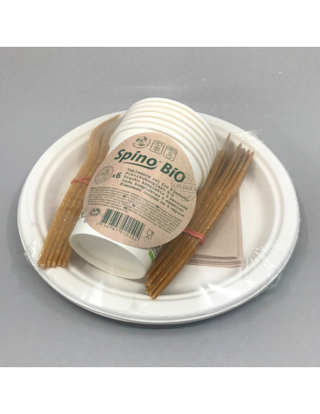 KAST 30 tk! Spino BIO piknikukomplekt 6 inimesele