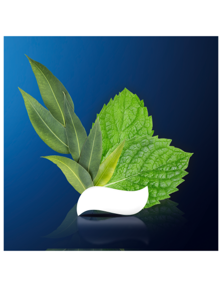 Oral-B Professional Regenerate Enamel Daily Protection 75ml hambapasta