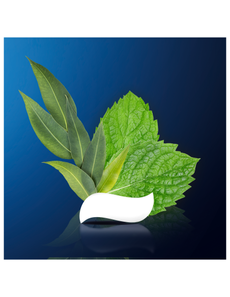 KAST 24 tk! Oral-B Professional Regenerate Enamel Gentle Whitening 75ml hambapasta