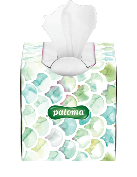 Paloma salvrätikud karbis 60 tk 3-kihilised