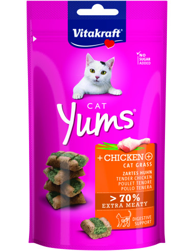 KAST 9 tk! Vitakraft Cat Yums kanalihast ja kassimurust maius kassidele 40g