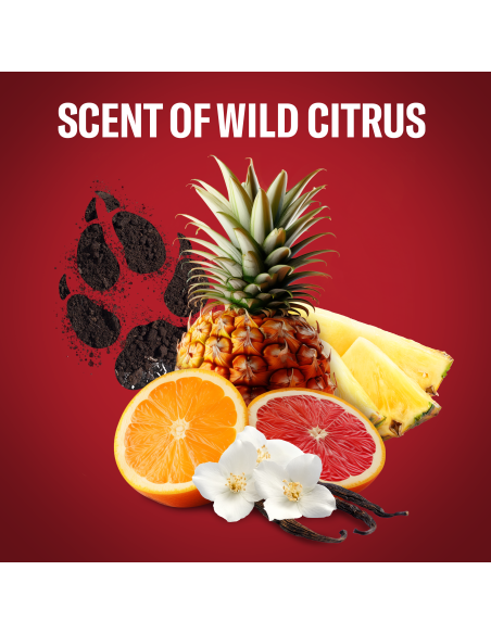 Old Spice Wolfthorn meeste dušigeel ja šampoon, 1000ml