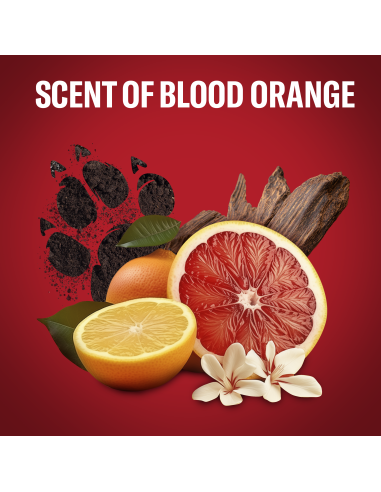 Old Spice Tigerclaw meeste dušigeel Ja šampoon,...