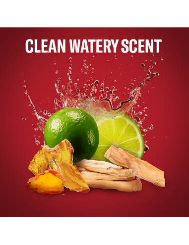 Old Spice Whitewater Meeste Dušigeel Ja...