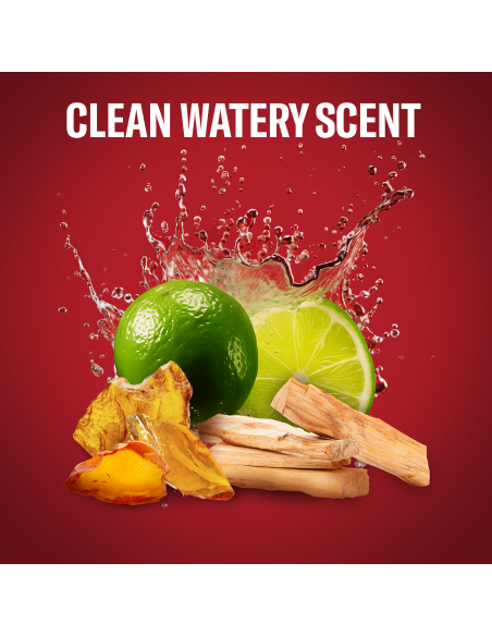 KAST 4 tk! Old Spice Whitewater meeste dušigeel Ja šampoon, 1000 ml