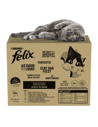 Felix Fantastic kassitoit erinevate maitsetega tarretises 10,2 kg (120x85g)