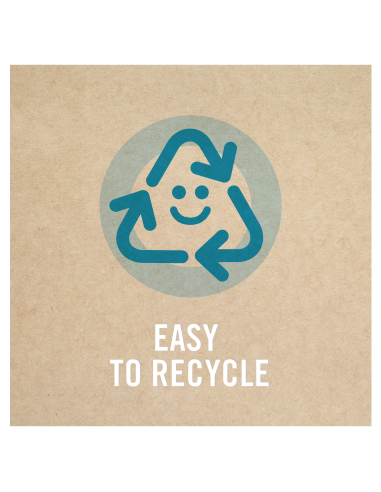 Ambi Pur Flower auto õhuvärskendaja, 2 tk