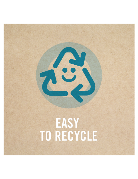 Ambi Pur Flower auto õhuvärskendaja, 2 tk