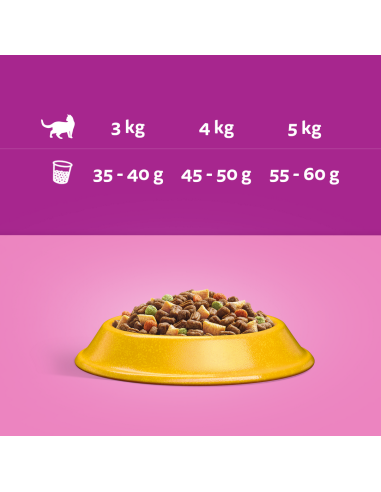 WHISKAS Sterile 14 kg - kuivtoit...