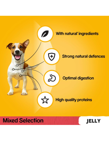 PEDIGREE Vital Protection želees (40x100g) Märg...