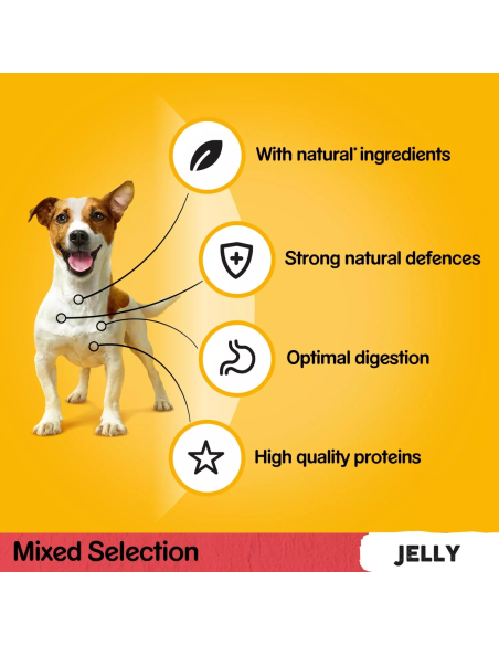 PEDIGREE Vital Protection želees (40x100g) Märg koeratoit