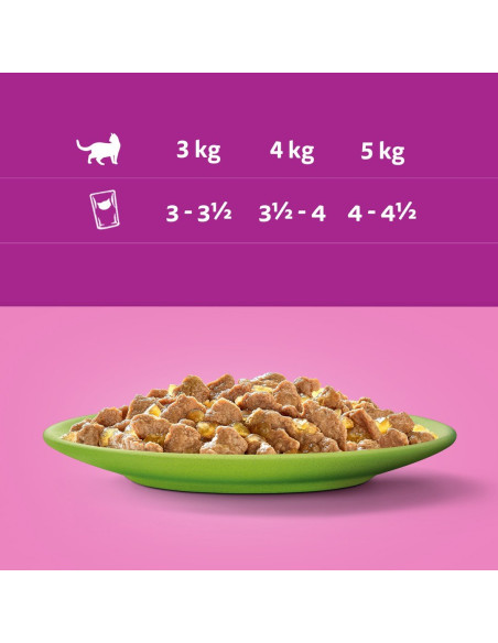 Whiskas märgtoit kassidele kana, lõhe, veiseliha, tuunikala 40x85g