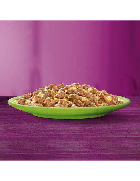 Whiskas märgtoit kassidele kana, lõhe, veiseliha, tuunikala 40x85g