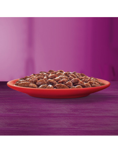 WHISKAS hõrgutised (40x85g) Classic Meals...