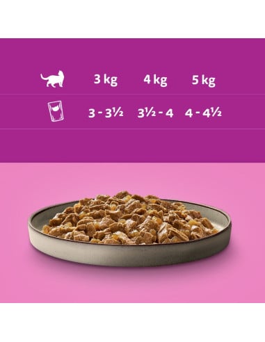 Whiskas Pure Delight märgtoit kassile linnuliha...