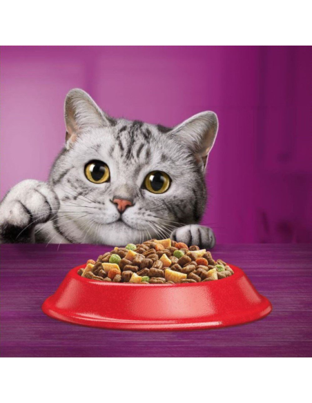 WHISKAS Adult kuivtoit kassidele veiseliha ja juurviljadega 14 kg