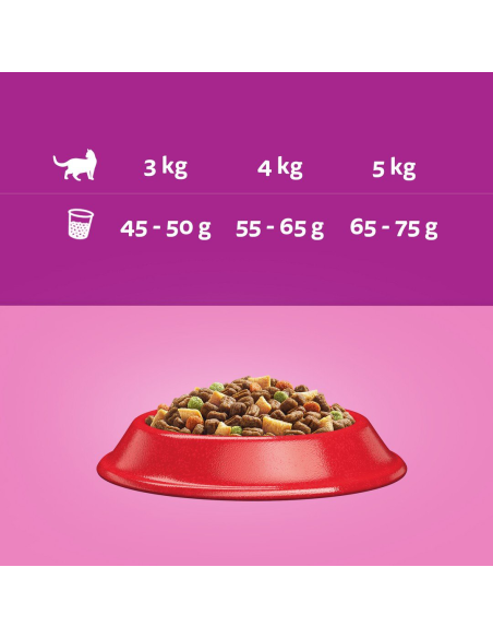 WHISKAS Adult kuivtoit kassidele veiseliha ja juurviljadega 14 kg