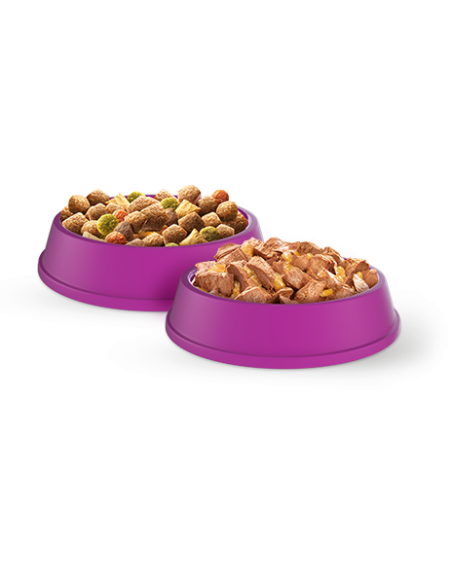 WHISKAS Adult kuivtoit kassidele kana ja köögiviljadega 14kg