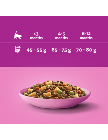 WHISKAS Junior kuivtoit kanaga kassipoegadele...