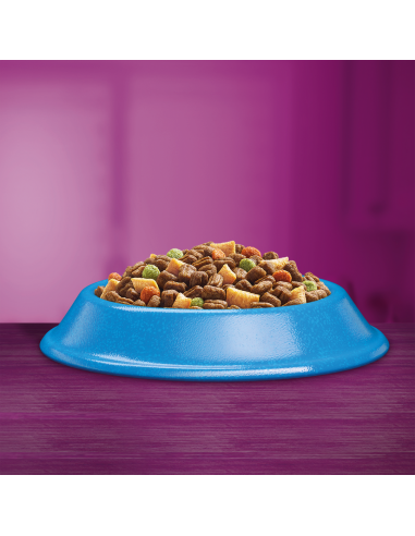 WHISKAS Adult kuivtoit tuunikalaga täiskasvanud...