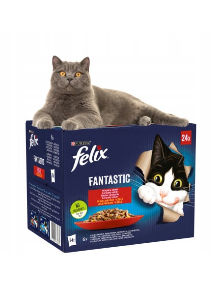 Felix Fantastic kassitoit erinevate maitsetega tarrendis (24x85g)
