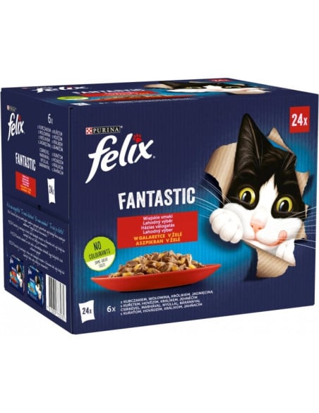 Felix Fantastic kassitoit erinevate maitsetega tarrendis (24x85g)