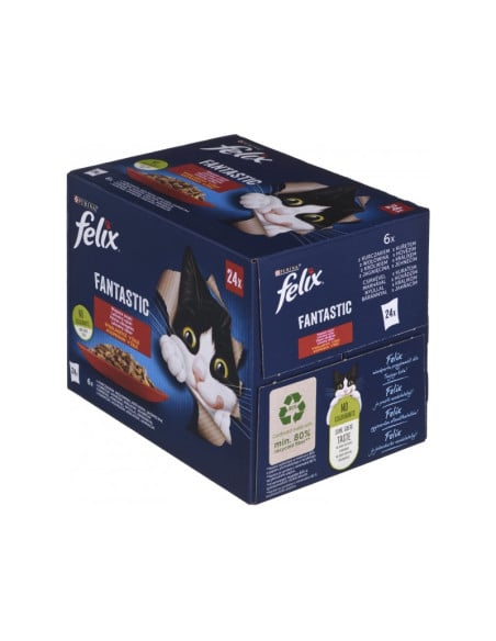 Felix Fantastic kassitoit erinevate maitsetega tarrendis (24x85g)