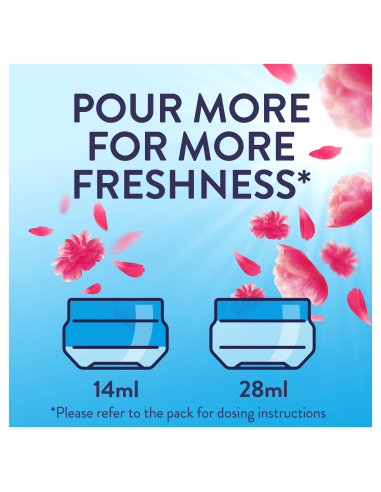 LENOR Pesuloputusvahend Pink Blossom 1.204 L...