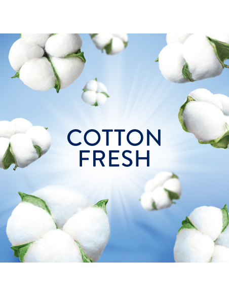 LENOR Lõhnagraanulid Sensitive Cotton Fresh 495 g (41 Pesukorda)