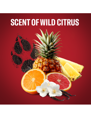 Old Spice Wolfthorn meeste dušigeel, 400 ml