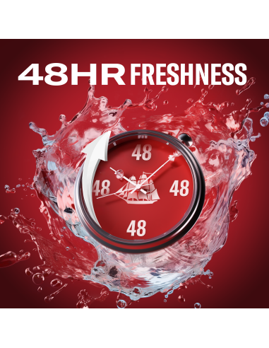 KAST 6 tk! Old Spice Whitewater meeste...