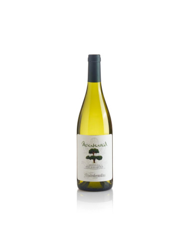 Mastroberardino Morabianca Falanghina 75cl 13%