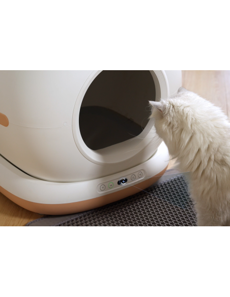 Dr.Stern automaatne kassiliivakast WiFi