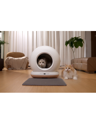 Dr.Stern automaatne kassiliivakast WiFi