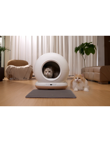 Dr.Stern automaatne kassiliivakast WiFi