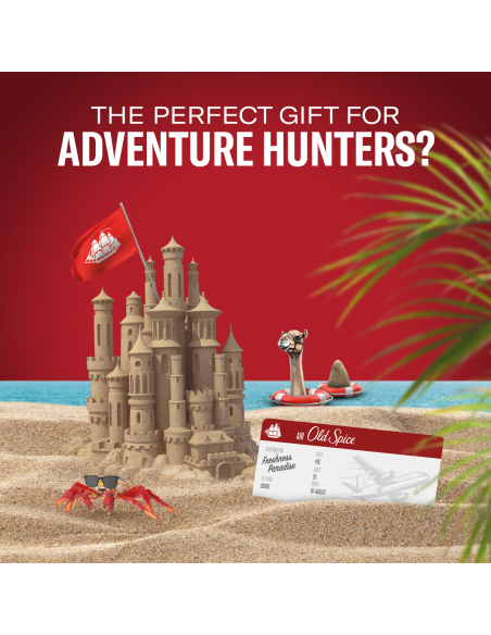 Old Spice kinkekomplekt Sports Fan Whitewater