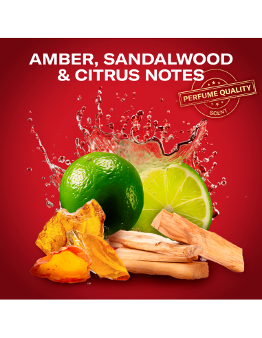 Old Spice kinkekomplekt Sports Fan Whitewater