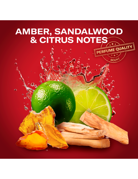 Old Spice kinkekomplekt Sports Fan Whitewater