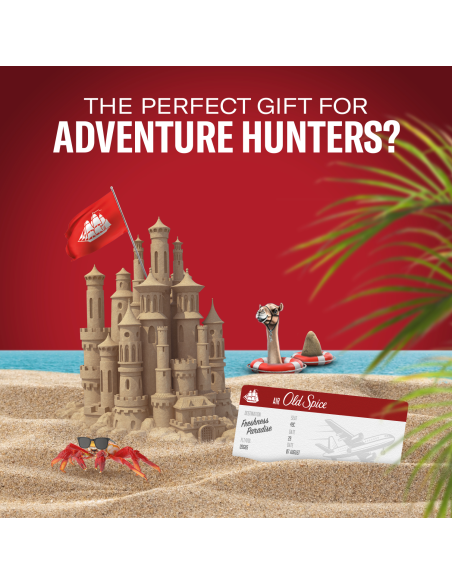 KAST 6 tk! Old Spice kinkekomplekt Sports Fan Whitewater