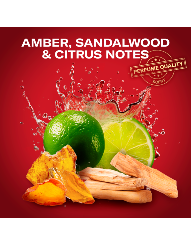 KAST 6 tk! Old Spice kinkekomplekt Sports Fan...