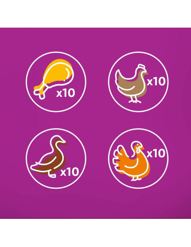 Whiskas Junior (40x85g) Linnulihahõrgutis Märg...