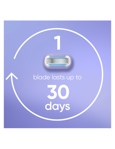 Gillette Venus Deluxe Smooth Swirl raseerija...