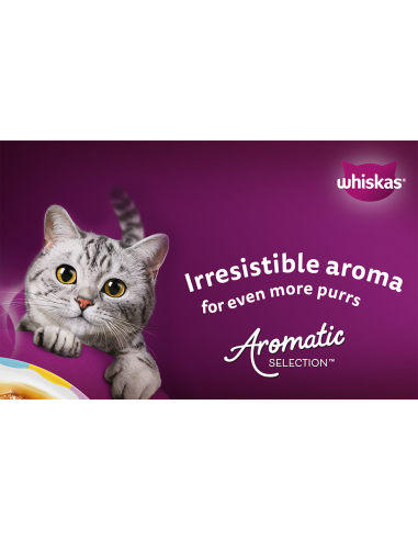 Whiskas täiskasvanud kassidele 40x85g...